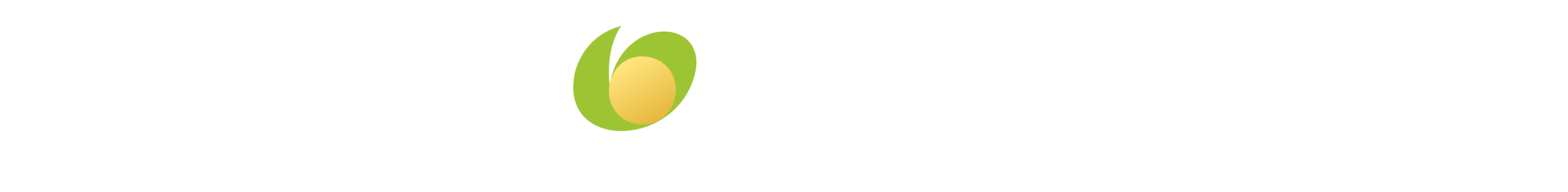 Ruitoque logo